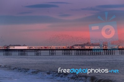 Brighton, East Sussex/uk - January 26 : Starlings Over The Pier Stock Photo