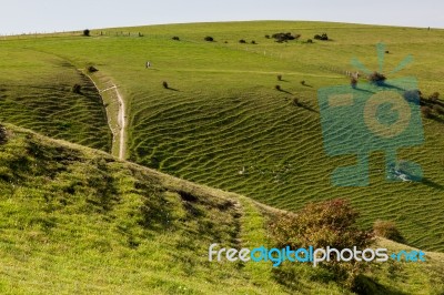 Brighton, East Sussex/uk - September 25 : People Waking  Over Th… Stock Photo