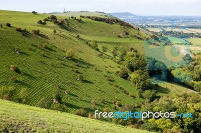 Brighton, East Sussex/uk - September 25 : The Rolling Sussex Cou… Stock Photo