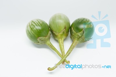 Brinjal Stock Photo