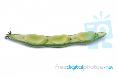 Broad Beans Stock Photo