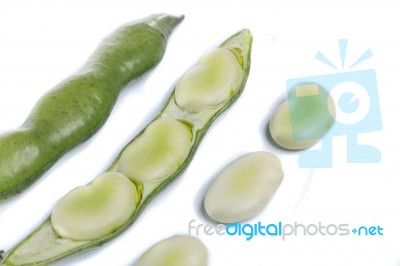 Broad Beans Stock Photo