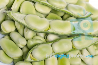 Broad Beans Stock Photo