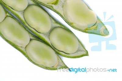 Broad Beans Stock Photo