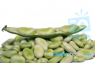 Broad Beans Stock Photo