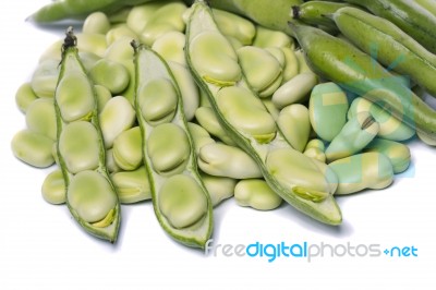 Broad Beans Stock Photo