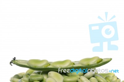 Broad Beans Stock Photo