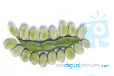 Broad Beans Stock Photo