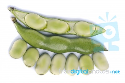 Broad Beans Stock Photo