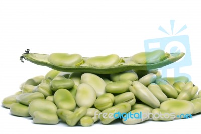 Broad Beans Stock Photo