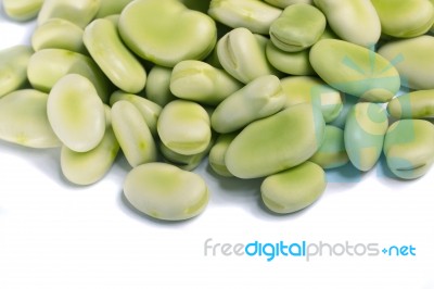 Broad Beans Stock Photo