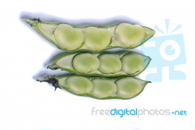 Broad Beans Stock Photo