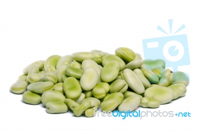 Broad Beans Stock Photo