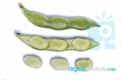 Broad Beans Stock Photo