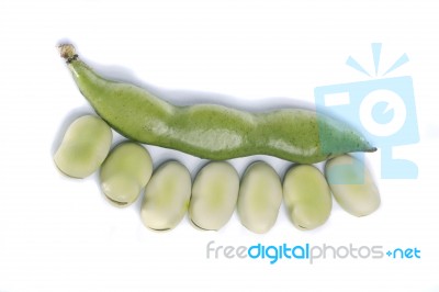 Broad Beans Stock Photo