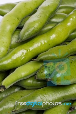 Broad Beans Stock Photo