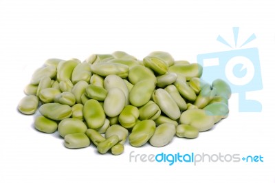 Broad Beans Stock Photo