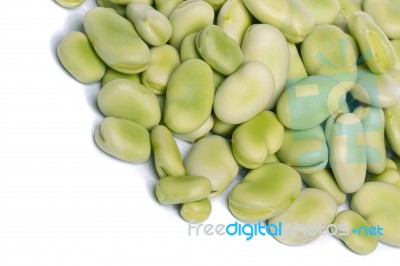 Broad Beans Stock Photo