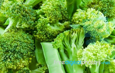 Broccoli Stock Photo