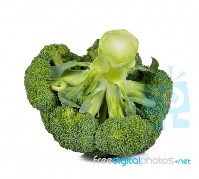 Broccoli Isolated On The White Background Stock Photo