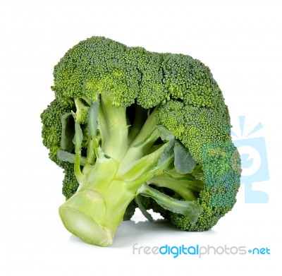 Broccoli Isolated On The White Background Stock Photo