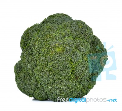 Broccoli Isolated On The White Background Stock Photo