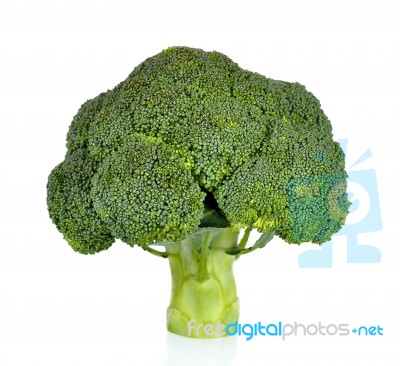 Broccoli Isolated On The White Background Stock Photo