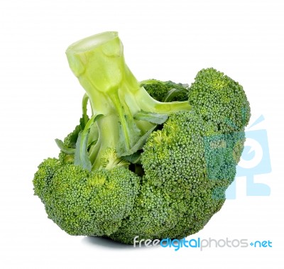 Broccoli Isolated On The White Background Stock Photo