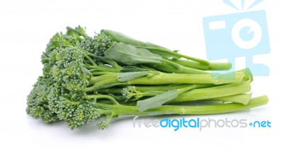 Broccoli Isolated On White Background Stock Photo