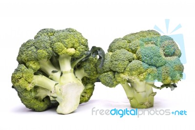 Broccoli Vegetable Stock Photo