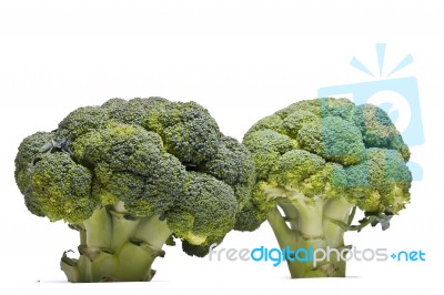 Broccoli Vegetable Stock Photo