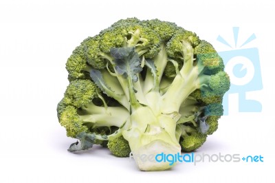 Broccoli Vegetable Stock Photo