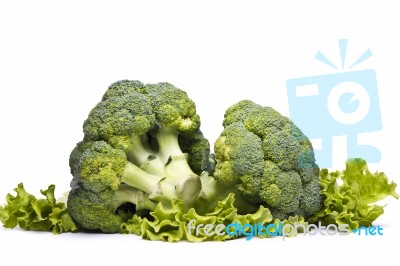 Broccoli Vegetable Stock Photo