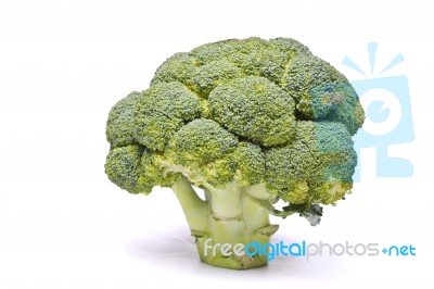 Broccoli Vegetable Stock Photo