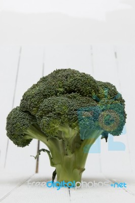 Broccoli Vegetable Isolated On White Stock Photo