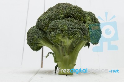 Broccoli Vegetable Isolated On White Stock Photo