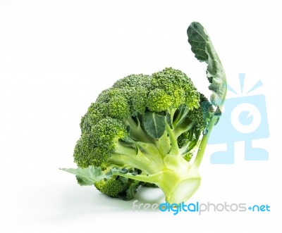 Broccoli Vegetable Isolated On White Background Stock Photo