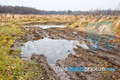 Broken Dirt Road In The Field Stock Photo