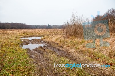 Broken Dirt Road In The Field Stock Photo