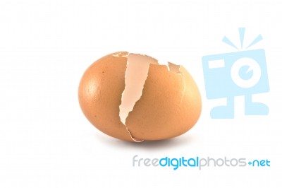 Broken Egg Shell Stock Photo