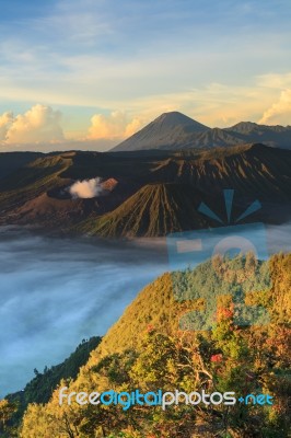 Bromo Vocano Mountain Stock Photo