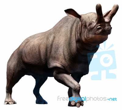 Brontotherium Stock Image