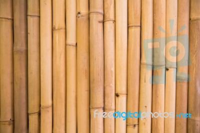 Brown Bamboo Background Stock Photo