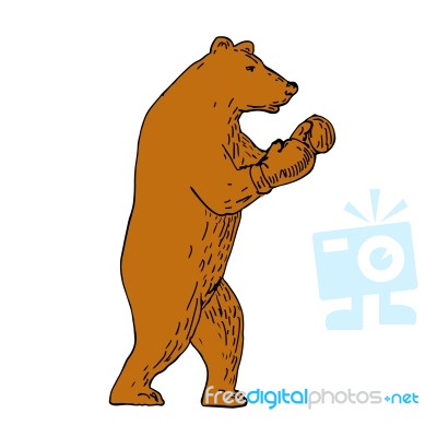 Brown Bear Boxing Stance Drawing Stock Image