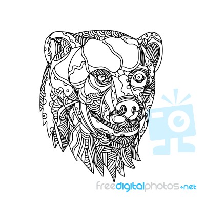 Brown Bear Head Doodle Stock Image