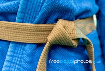 Brown Belt Stock Photo