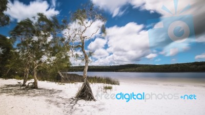 Brown Lake On Stradbroke Island, Queensland Stock Photo