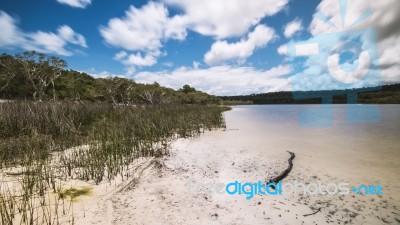 Brown Lake On Stradbroke Island, Queensland Stock Photo