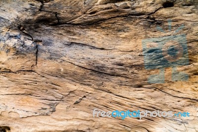 Brown Log Wood Texture Stock Photo