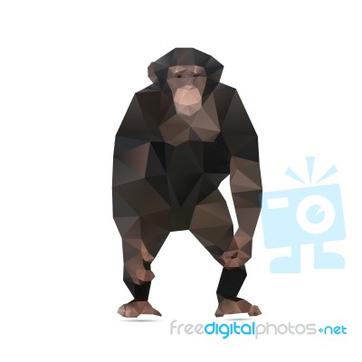 Brown Monkey Stock Image